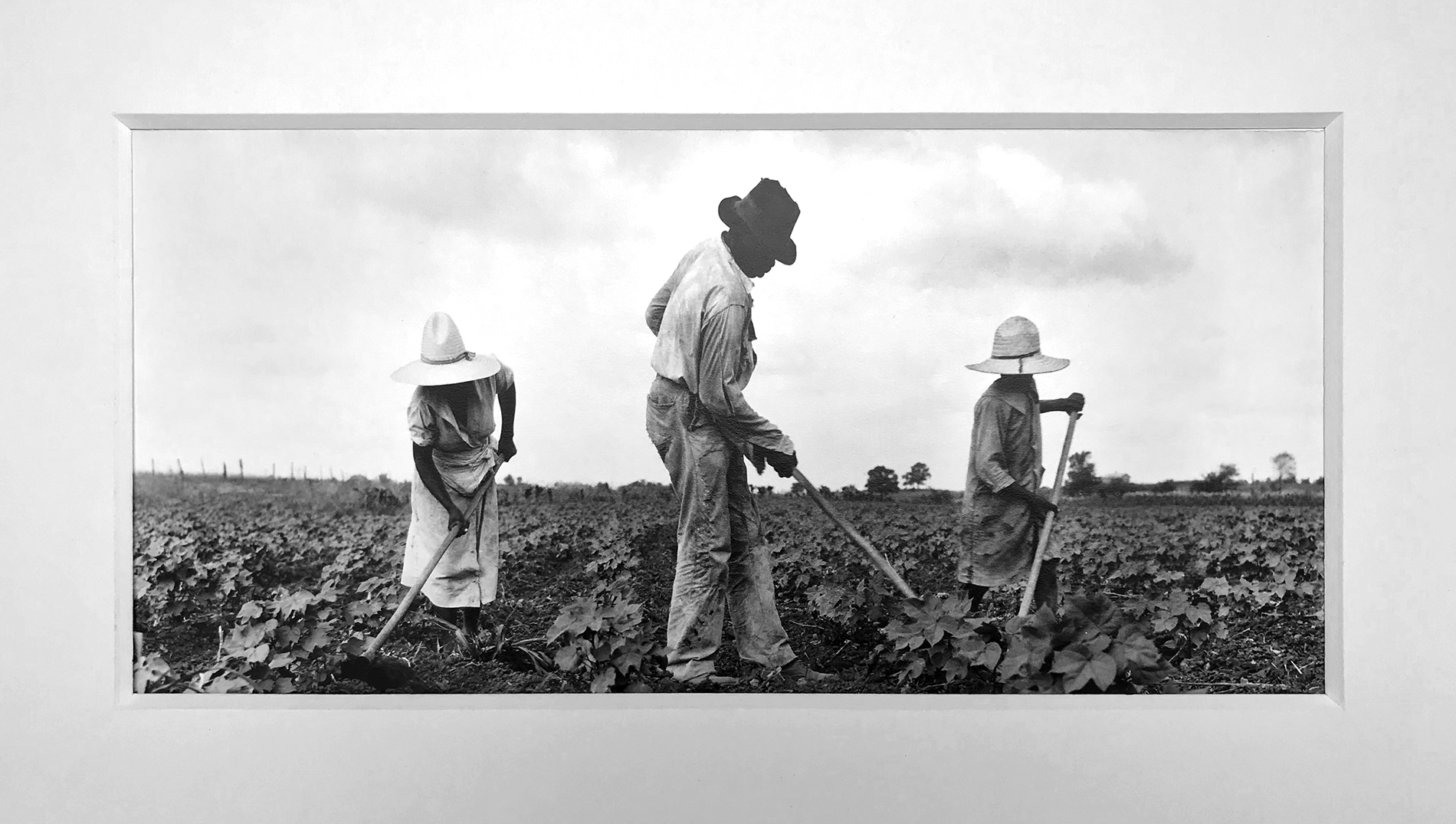 "Fieldworkers" - Dorothea Lange | from private collection